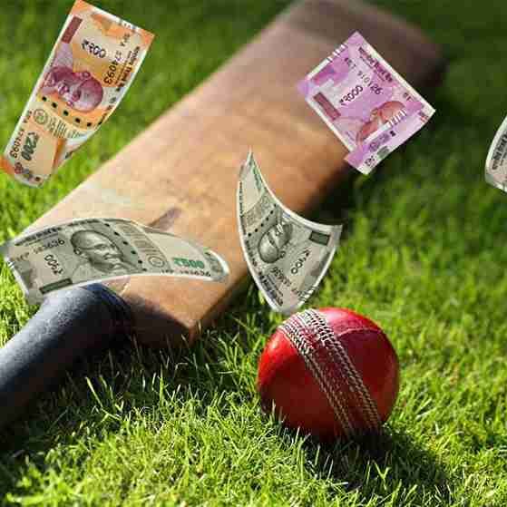 Cricket-Wetten – Was ist die Marktbelastung?