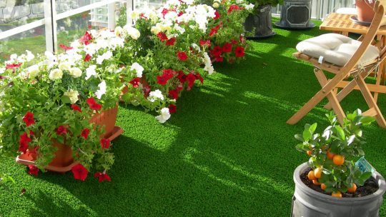 Moderne Gold-Deckenleuchten: Bringen Sie Luxus und Stil in Ihr Zuhause